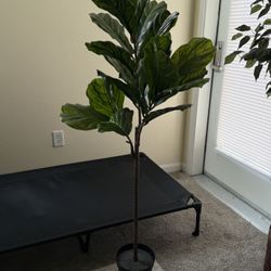 Artificial IKEA Fiddle Leaf Fig Tree