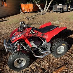 Honda TRX250