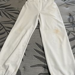 Baseball Pants