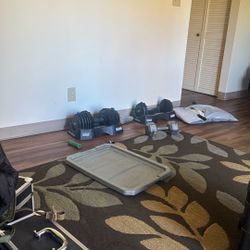 Nordic Track Adjustable  Dumbells 