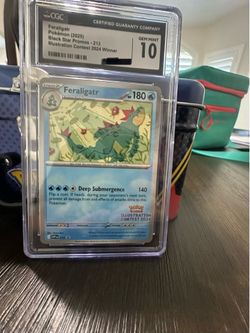 Pokémon 2025 Feraligtr Illustration Contest Winner 2024