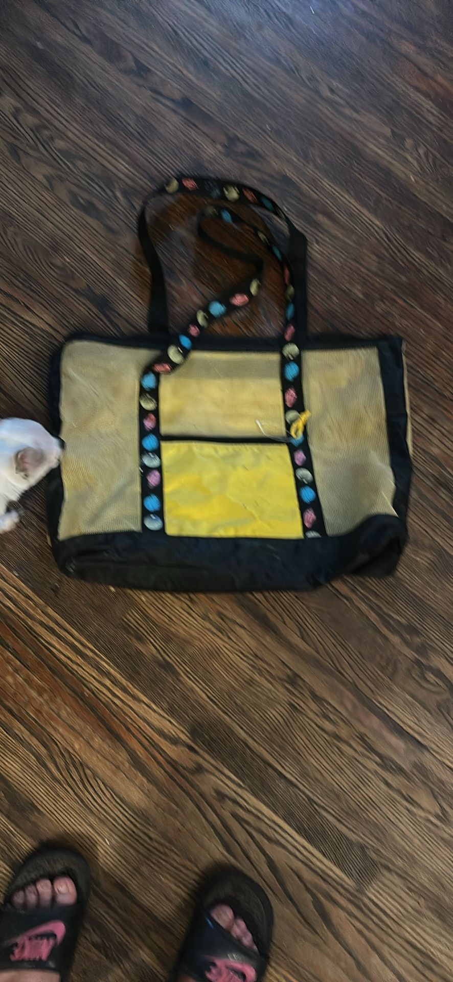 Beach Bag