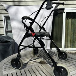 Walker- Wide Seat