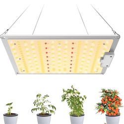 100W LED Grow Light