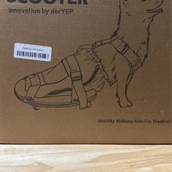 Pet Scooter