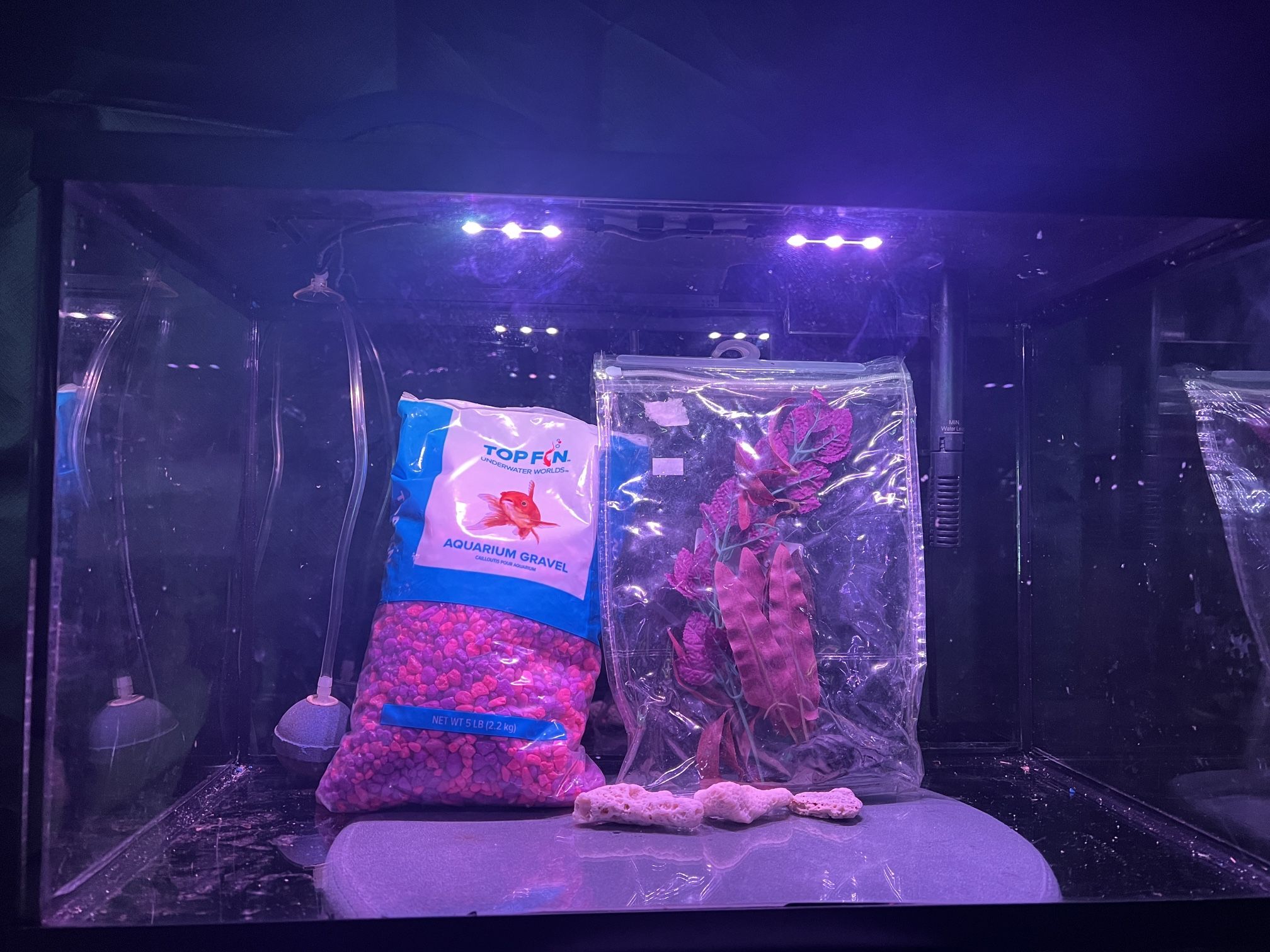 10 Gallon Fish Tank Kit