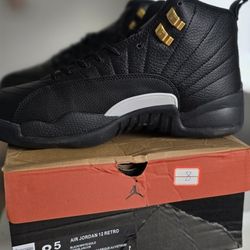 Air Jordan Retro 12 The Master Size 8.5
