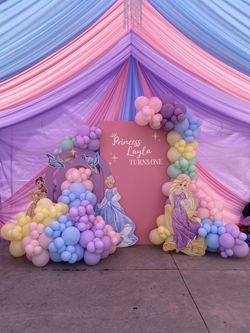 Princess backdrop