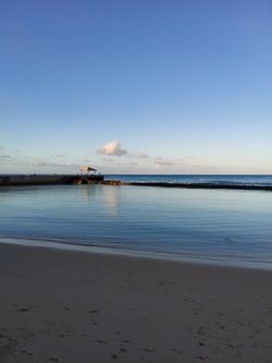 De Guaymas Callos Perla