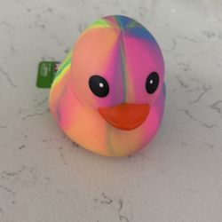 Squishy Duck