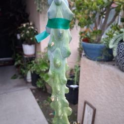 Tall BOBBIE Cactus Plant $49