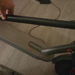 Ladped Electric Scooter 