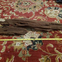 Natural River Driftwood