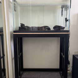 29 gallon fish tank w/ stand