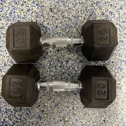 20 lb Dumbbell Set