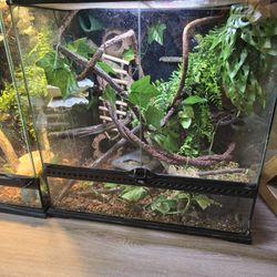 Crested Gecko Enclosure for Sale in Hialeah FL OfferUp