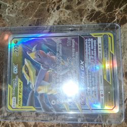 Garchomp&Giratina