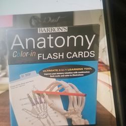 Anatomy  Flash Cards 