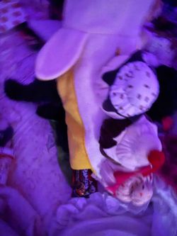 Banana split dog costume