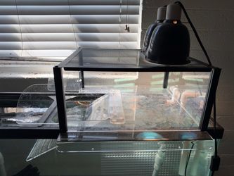 Turtle Basking Platform