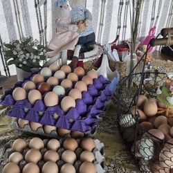 Farm Fresh Free RANGE EGGS