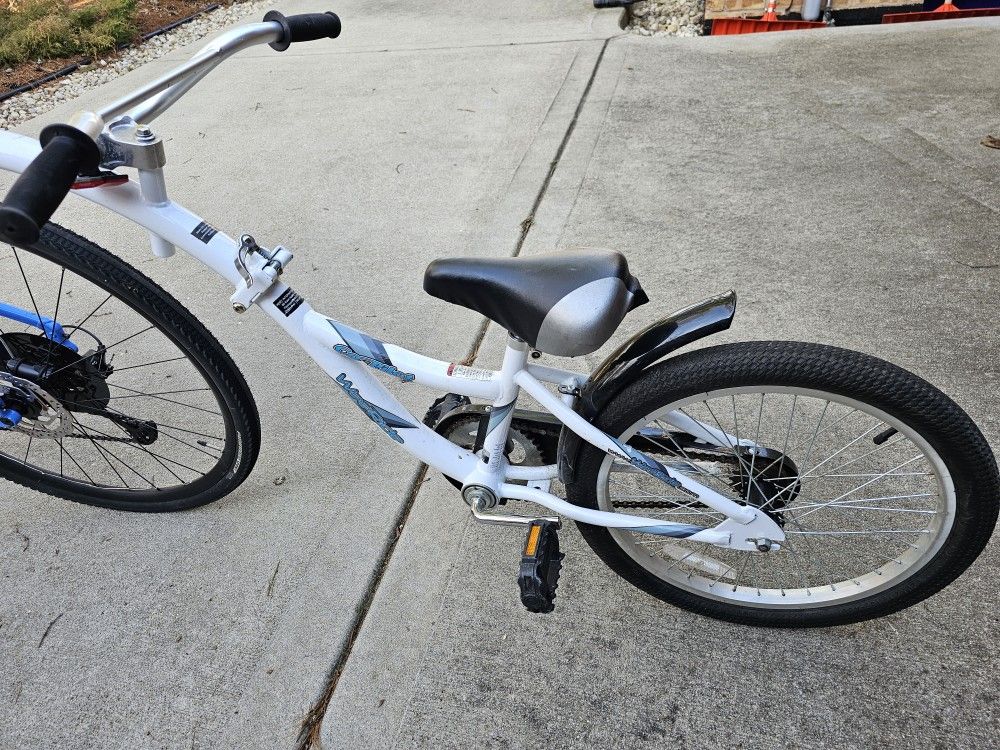 WeeRide Co Pilot Trailer Child Bike
