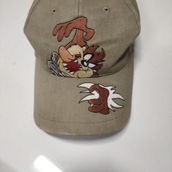 Looney Tunes Taz Hat Small Paint On Right 