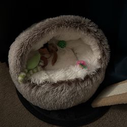Never Used Cat Bed