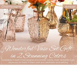 Wedding Decor - 45 Amber/20 Champagne Colored Small Based