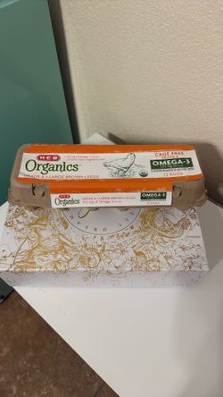 Clean Egg Carton With Eggshells Clean
