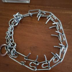 Spiked Dog Collar 