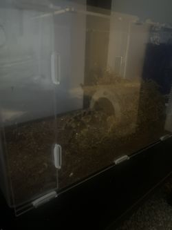 Cage For Insects