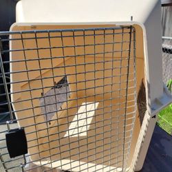 Dog Traveling Cage ( Carrier) Large Size Great Condition 