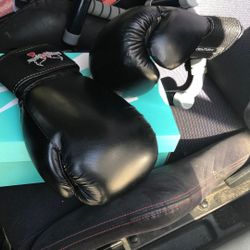 Century 8oz Boxing Gloves 