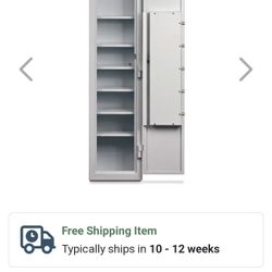 $800 Safe Fire 🔥 PROOF Steel