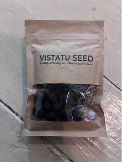 VISTATU SEED 30+ Pcs Bonsai Bowl Lotus Seeds