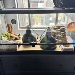 50 Gallon Reptile Tank 