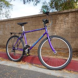 Diamond Back Topanga Retro Mountain Bike