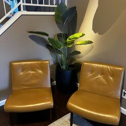 Set Of 2 Living Room Chairs 
