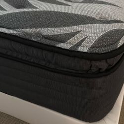 Sealy Queen Mattress 