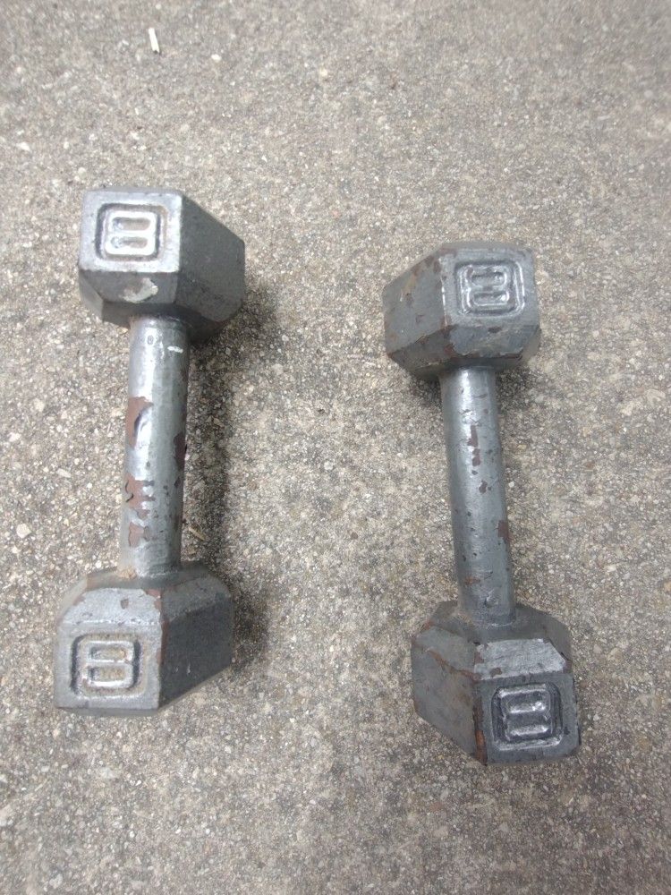 Dumb Bell Dumbbells Dumbbell