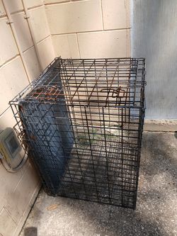 Cage