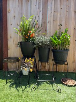 8 iron plant holders for only 80 dollars everything