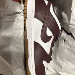 Brand New Nike Dunks