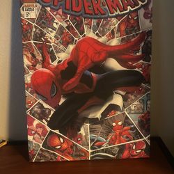 The Amazing Spider-man Comic Poster