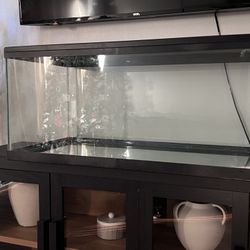 40 gallon tank 