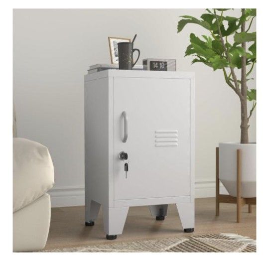 24.4" H Metal Locker Storage Cabinet with 1 Doors, Pantry with Shelves, Storage Cabinet with Adjustable Leveling Foot for Kitchen, Employees, Office,