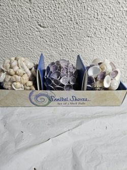 🐚 Sanibel Shores Set of 3 Shell Balls! 🐚 