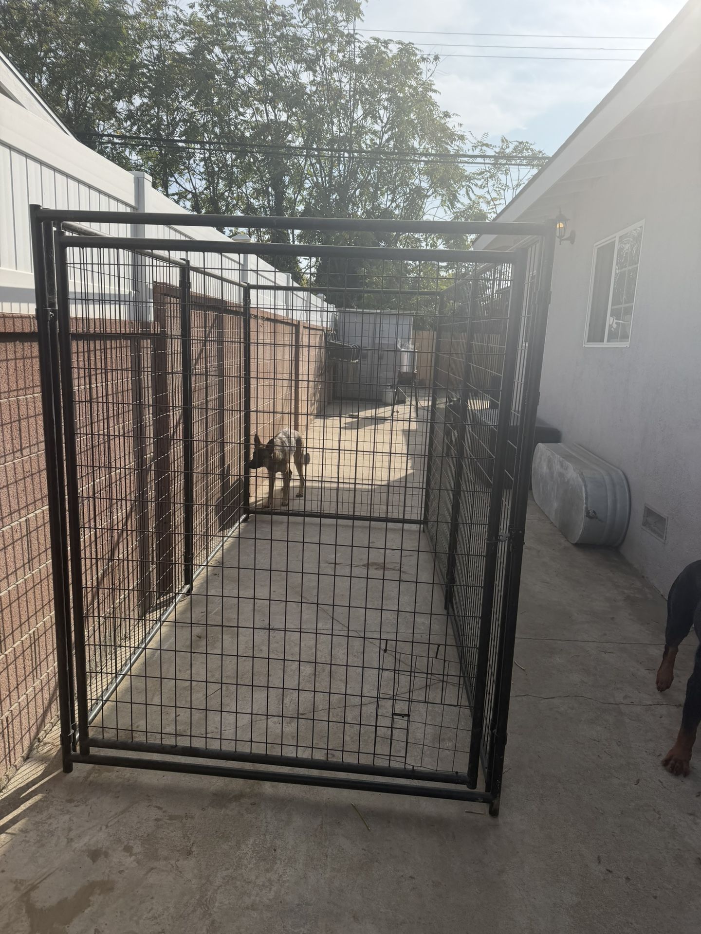 Dog Kennel