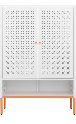 Shoe storage cabinet